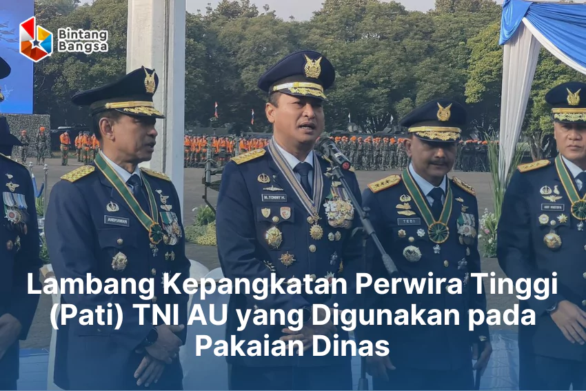 Lambang Pangkat Perwira Tinggi TNI AU
