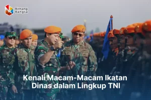Ikatan Dinas TNI